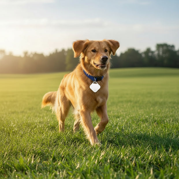 <h3>Adventure without fear.<br/></h3>